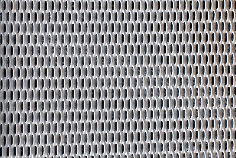 Tenera filum mesh Group develops